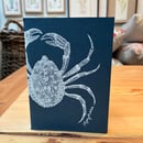 Image 5 of Sea creature notebooks