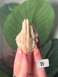 Image 2 of CHOOSE YOUR OWN MULTICOLORED BARITE