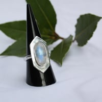 Image 3 of Protect Me (Moonstone)