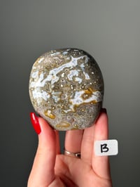 Image 2 of SMALL ORBICULAR JASPER FREEFORMS