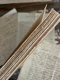 Image 19 of Les Vampires, de Tony Faivre, essai historique critique et littéraire, 1962