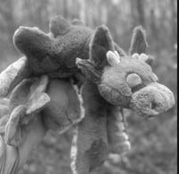 Image 1 of MYSTERY dragons (XL) 6m~ TAT