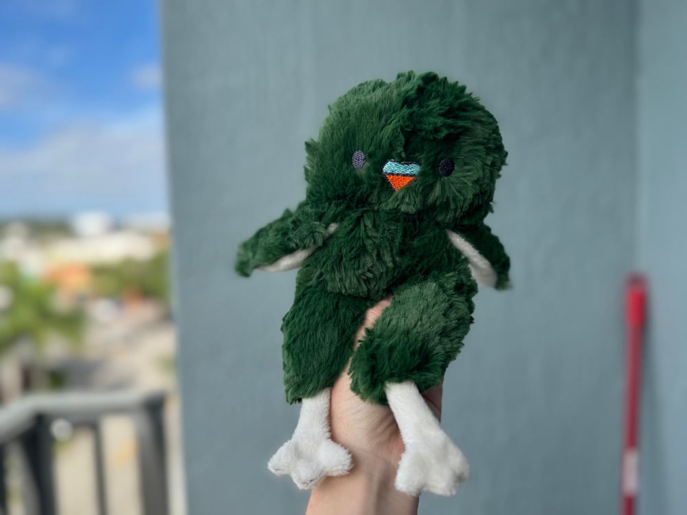 Image of The Parakeets