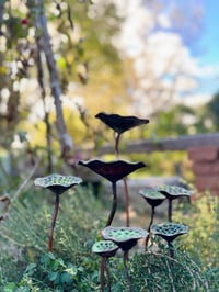 Image 4 of 🌺💐🌷Lotus Pod Garden Stake