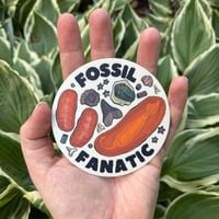 Image 3 of Fossil Fanatic 3.5” Sticker