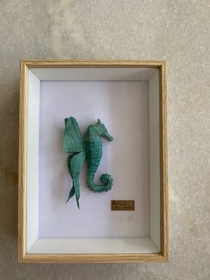 Image of Teal winged seahorse framed specimen. Faux taxidermy
