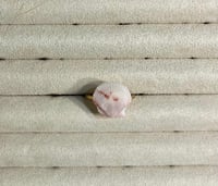 Image 5 of Shell Rings