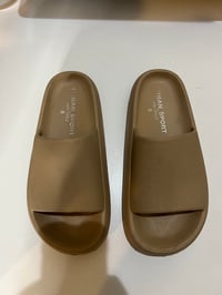 Image 1 of tan slides 