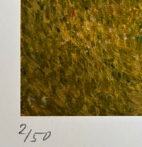 Image 3 of ‘The Tigers Tale’