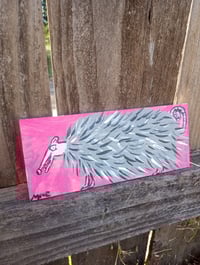 Image 2 of Long Little Possum 