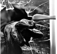 Image 2 of Leg Market / Deathtoll - “Forced Entry” / “Cenobite” split CD-R (NOS-028b)