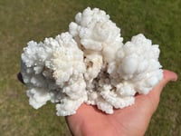 Image 12 of White Calcite Crystal Reef Formation Specimen #1237