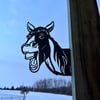 Horse - Funny