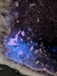 Image 19 of Druzy Amethyst Crystal Geode Cave 31.7kg #49