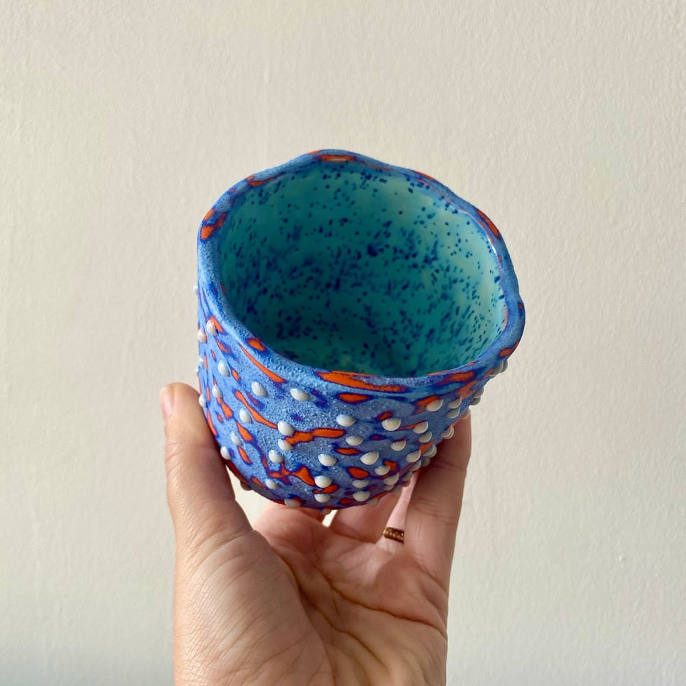 Image of Nebula Cup #2 *Second*