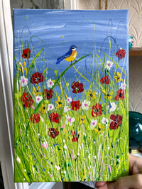 Image 4 of Blue Tit in the Poppies