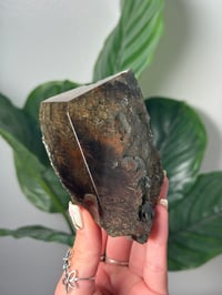 Image 1 of XL SELF STANDING HALF POLISHED HIMALAYAN RUTILE IN QUARTZ CLUSTER G