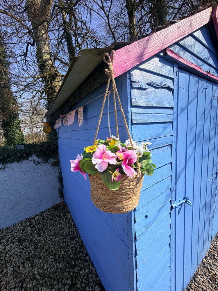 Image of 25cm Hanging Pansy Basket 