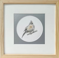 Image 1 of Extra Tufted by Danika Ostrowski - Framed Original Drawing