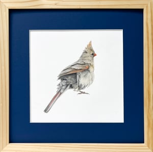 Ruffle Your Feathers by Danika Ostrowski - Framed Original Drawing