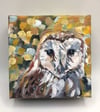Pumpkin Pie – Barn Owl bird painting