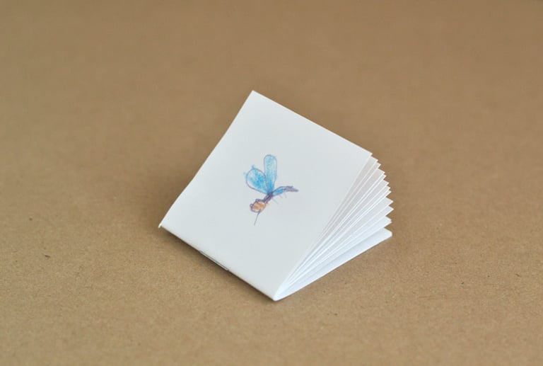 Image of small drawings