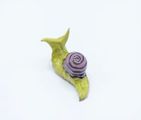 Image 2 of Green & Purple Snail