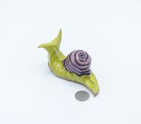 Image 3 of Green & Purple Snail