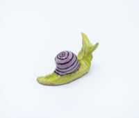 Image 1 of Green & Purple Snail