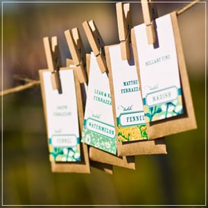 Image of Seed Packet Escort Cards
