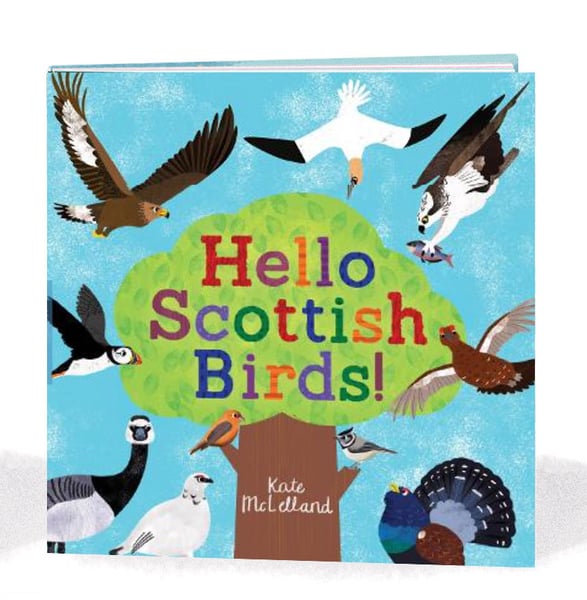 Image of Signed copy - Hello Scottish Birds