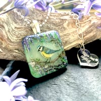 Image 1 of Blue Tit on Wisteria Resin Pendant