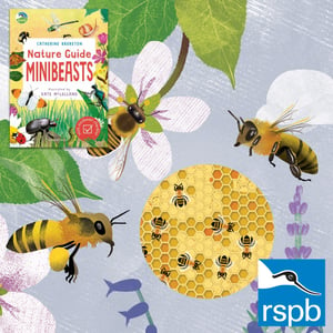 Image of Signed copy - RSPB Nature Guide: Minibeasts