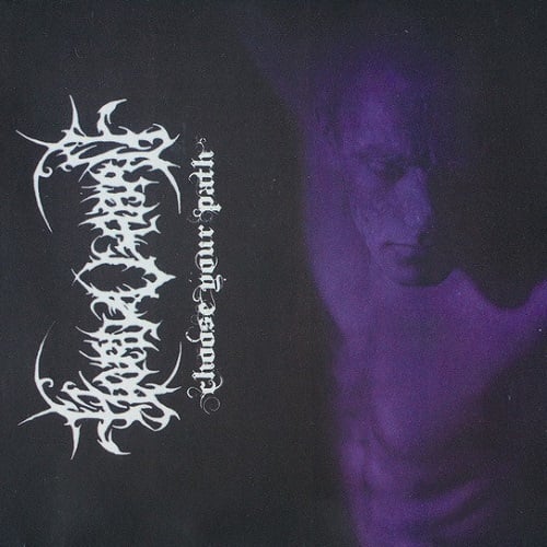 Image of HORDAGAARD (NOR) "Choose Your Path" CD