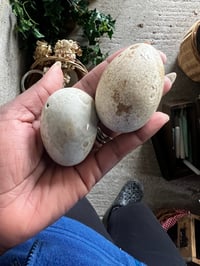 Image 2 of Victorian Broody Egg