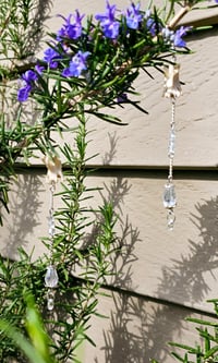 Image 1 of Clear/Silver Solitary Bone Chandelier Earrings