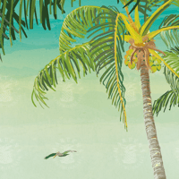 Image 5 of Florida Keys Vintage Style Tropical Florida Art  Poster | Print No 115