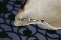 Image 5 of Wishbone Signet