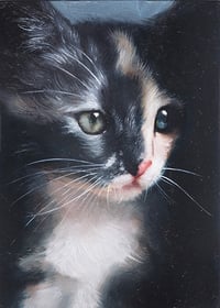 "Mece" Print
