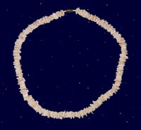 Baby pink puka shell necklace