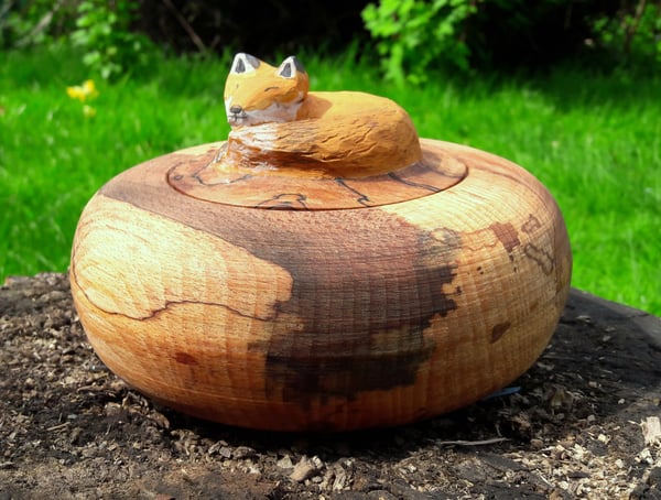 Image of Sleepy Fox Locking Lid Box - Spalted Beech