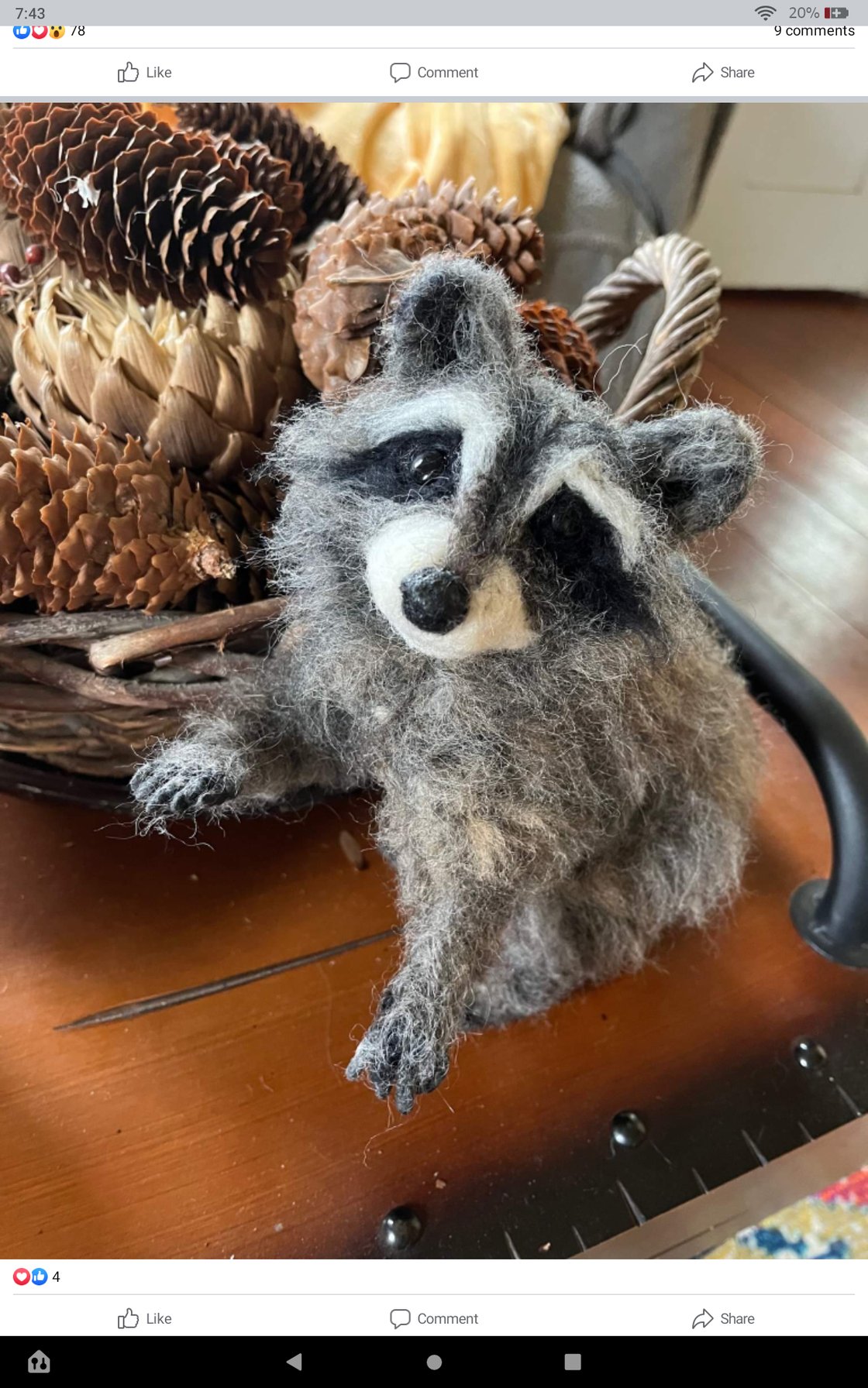 Image of 6" small raccoon