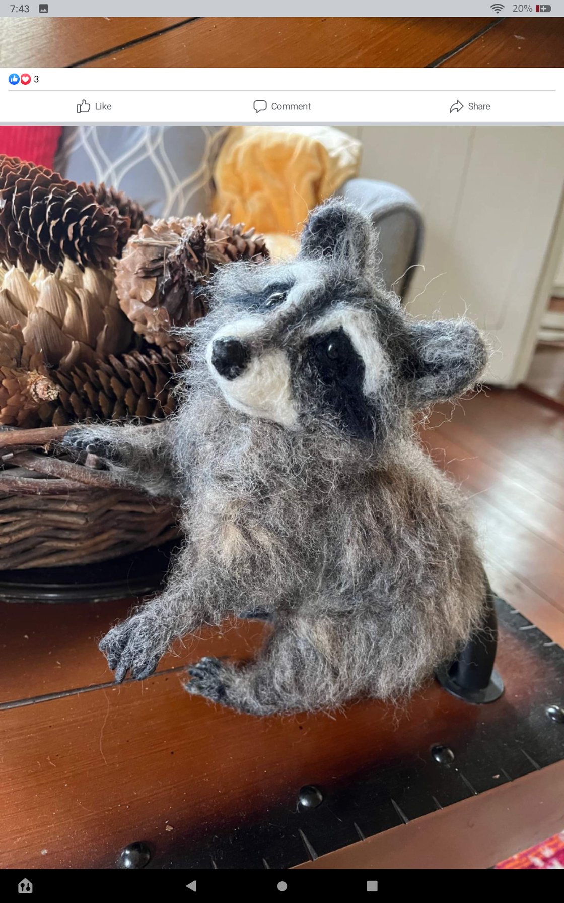 Image of 6" small raccoon