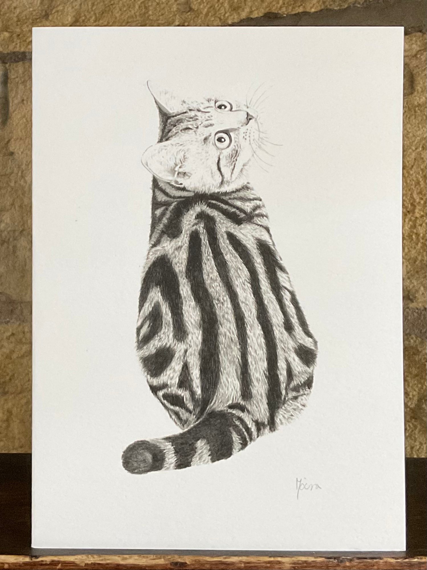 Image of STRIPE CAT~ GREETINGS CARD