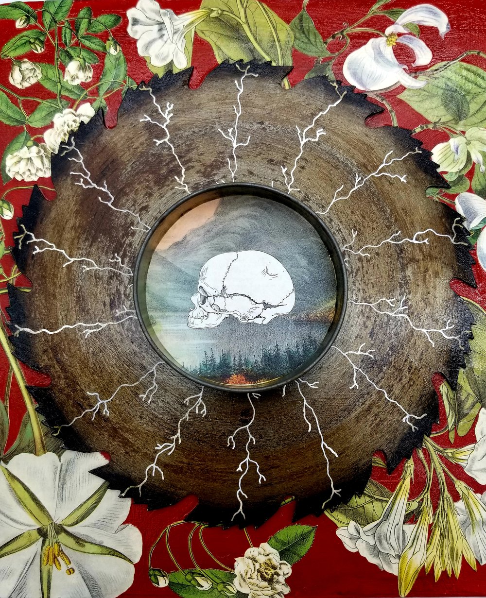 Image of Severed Ties