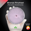 Bronze Pinwheel (Marasmius Gracilichorda) Live Mycelium Mushroom Culture Spawn Seed
