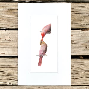 The way to her heart is through her stomach by Danika Ostrowski - Fine Art Print