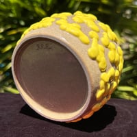 Image 3 of Yellow Amoeba Cup 2
