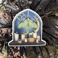 Image 4 of Luna Moth Sticker