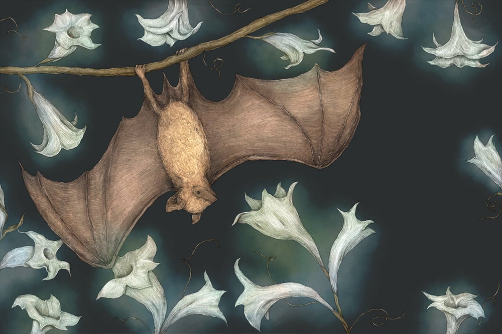 Image of Moonflower Bat Print